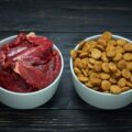 barf chien, tout savoir sur cette marque d'aliments crus