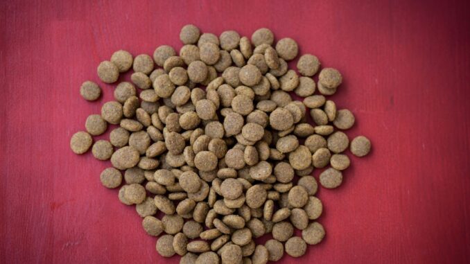 wolf of wilderness croquettes pour chien, gamme, prix et avis