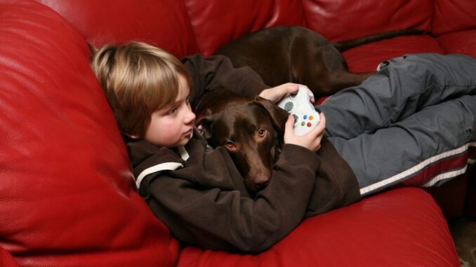 Les mini-jeux sur le thème des chiens