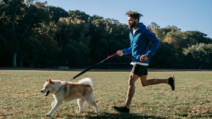 8 activités ludiques pour renforcer le lien avec votre chien